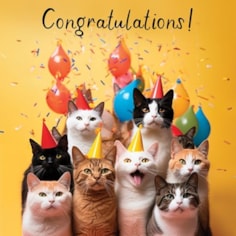 Congratulations Card - Party Cats Congratulations Card - Party Cats