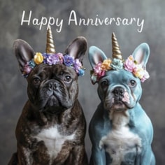 Anniversary Card - French Bulldogs