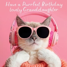 Granddaughter Birthday Card - Cool Cat