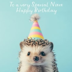 Niece Birthday Card - Sweet Hedgehog Niece Birthday Card - Sweet Hedgehog
