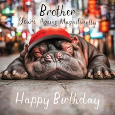 Brother Birthday Card - Hippo Ageing Magnificently