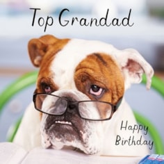 Grandad Birthday Card - Top Grandad
