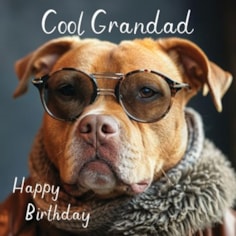 Grandad Birthday Card - Cool Grandad