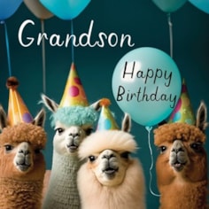 Grandson Birthday Card - Grandson Llama Party