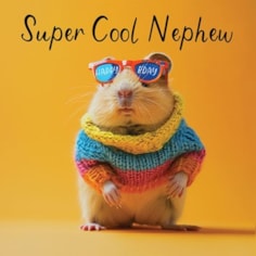 Nephew Birthday Card - Super Cool Nephew Hamster