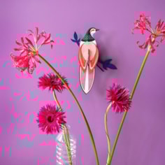 Paradise Bird Rani Wall Decoration Paradise Bird Rani Wall Decoration