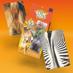 Name That Bumhole Card Game | 55 Animal bums