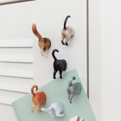 Cat Bum Magnets Cat Bum Magnets
