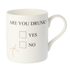 Are You Drunk Mug