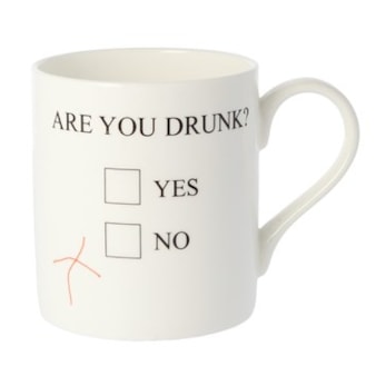 Are You Drunk Mug Are You Drunk Mug