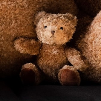 Albert The Teddy Bear Albert The Teddy Bear