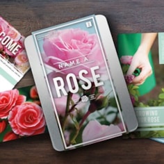 Name a Rose Name a Rose