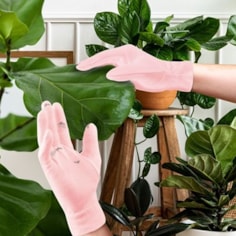 Houseplant Duster Gloves