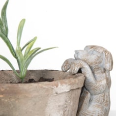 Dog Plant Pot Hanger Dog Plant Pot Hanger