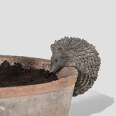 Hedgehog Plant Pot Hanger Hedgehog Plant Pot Hanger