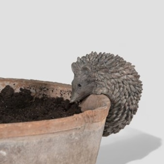 Hedgehog Plant Pot Hanger Hedgehog Plant Pot Hanger