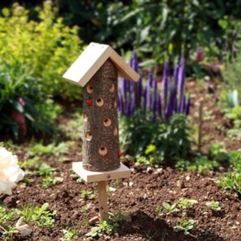 Ladybird Tower Ladybird Tower