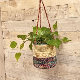 Artisan Hanging Planters Artisan Hanging Planters