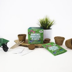 Dancing Dinosaur Plants Sow And Grow Dancing Dinosaur Plants Sow And Grow