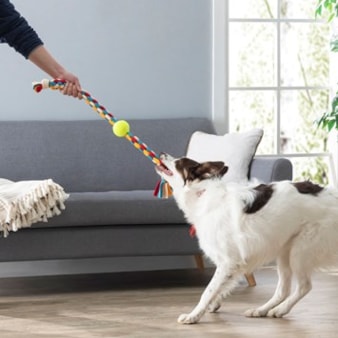 Make Your Own Dog Tug Toy Make Your Own Dog Tug Toy