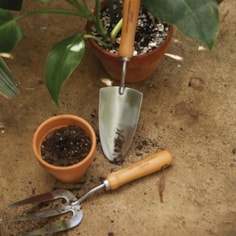 Fork And Trowel Set Fork And Trowel Set