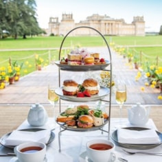 Visit to Blenheim Palace and Afternoon Tea at Clementine’s on the Lawn for Two Visit to Blenheim Palace and Afternoon Tea at Clementine’s on the Lawn for Two