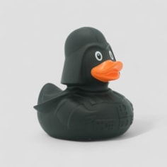 Black Star Duck Black Star Duck