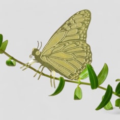 Plant Animal - Butterfly, House Plant Decoration