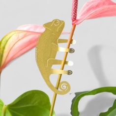 Plant Animal - Chameleon, Garden Decor