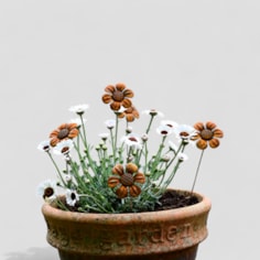 Rusty Metal Daisy Rusty Metal Daisy