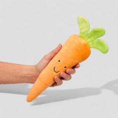 Carrot Dog Toy Carrot Dog Toy
