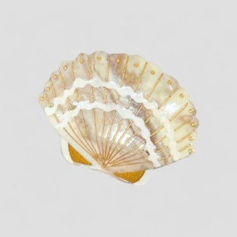 Golden Sand Seashell Hair Claw Golden Sand Seashell Hair Claw