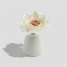 Vase With Flower Fragrance Diffuser