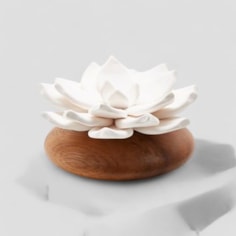 Star Flower Essential Oil Diffuser