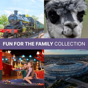 Fun for the Family Collection Fun for the Family Collection