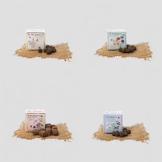 Urban Meadow Seedball Gift Urban Meadow Seedball Gift