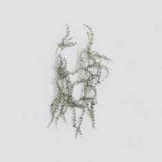 Abigail Ahern Artificial Snowy Pinecone Garland Abigail Ahern Artificial Snowy Pinecone Garland