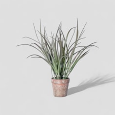 Abigail Ahern Ombre Grass In Pot