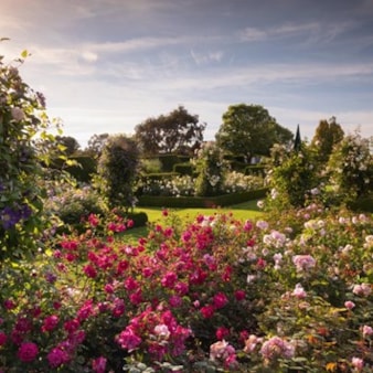 Visit to a RHS Garden for Two