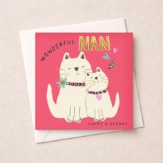 Nan Birthday Card - Wonderful Nan Cats