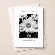 Birthday Card - Daisies