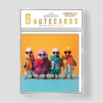 Hanging Notecard Set - Cool Chicks Hanging Notecard Set - Cool Chicks
