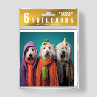 Hanging Notecard Set - Cool Dogs Hanging Notecard Set - Cool Dogs
