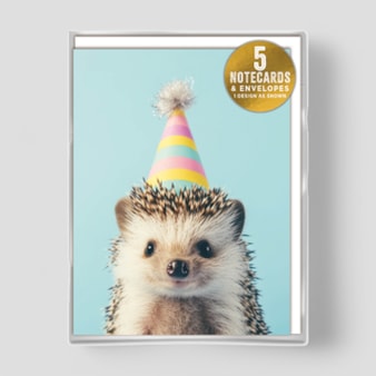 Small Notecards - Hedgehog In Party Hat Small Notecards - Hedgehog In Party Hat
