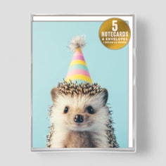 Small Notecards - Hedgehog In Party Hat