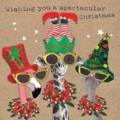 Christmas Card - Spectacular Christmas Christmas Card - Spectacular Christmas