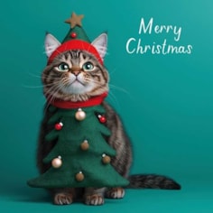 Christmas Card - Christmas Tree Cat Christmas Card - Christmas Tree Cat