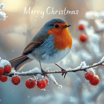 Christmas Card - Christmas Robin