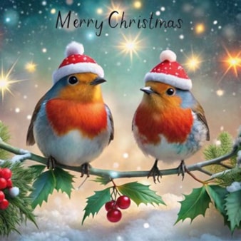 Christmas Card - Merry Christmas Two Robins