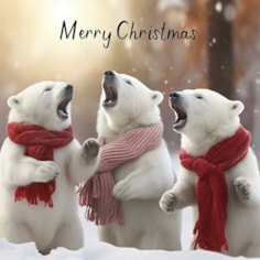Christmas Card - Merry Christmas Polar Bears Christmas Card - Merry Christmas Polar Bears